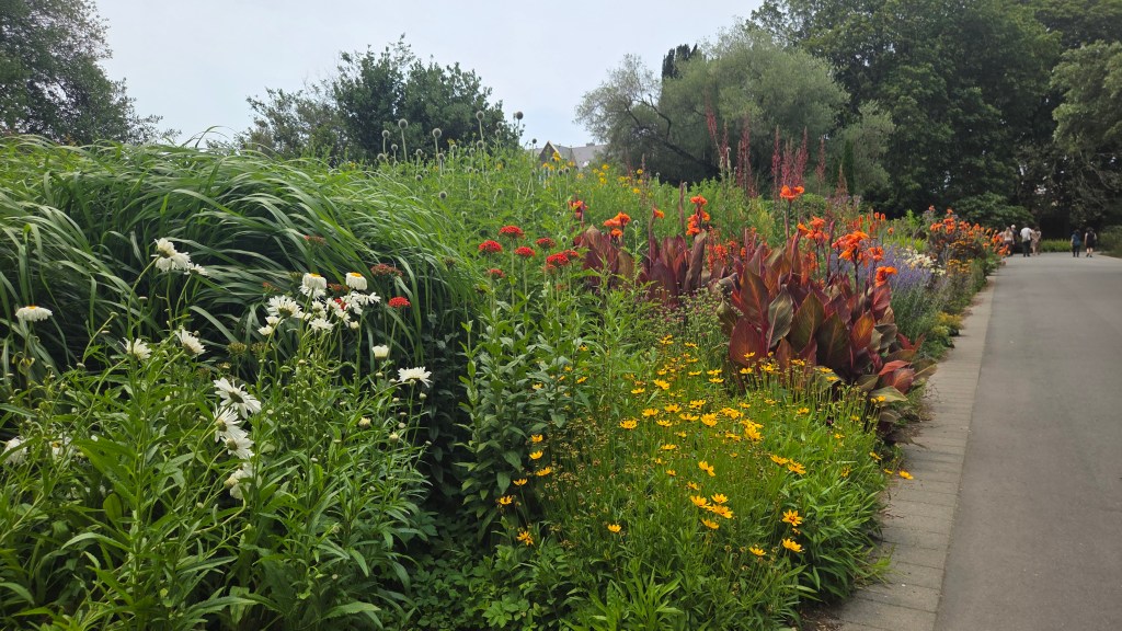 Herbaceous border at the Botanic Gardens