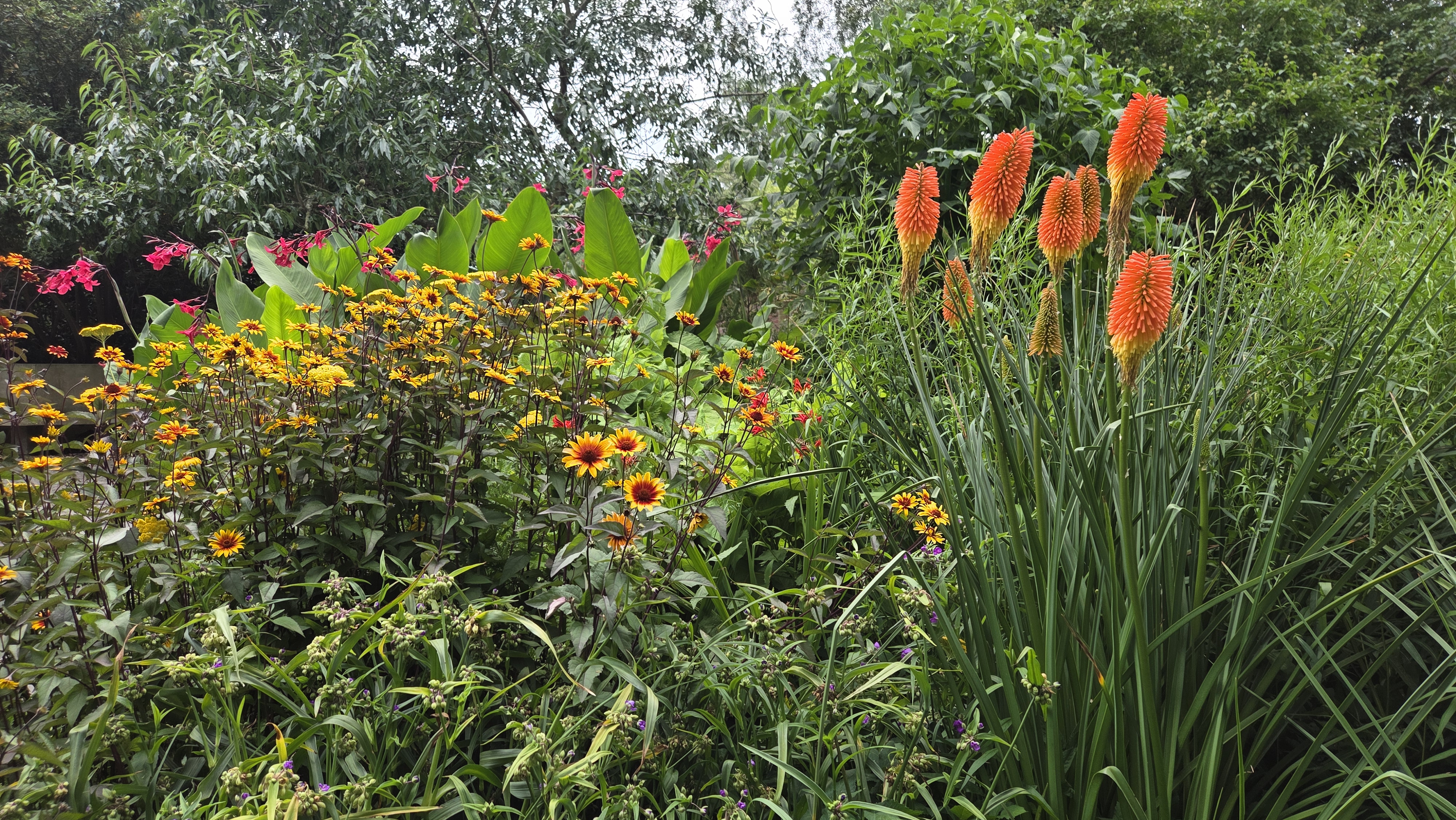 A vibrant garden filled with a variety of colourful flowers, including orange and yellow blossoms, alongside lush green foliage and tall plants.