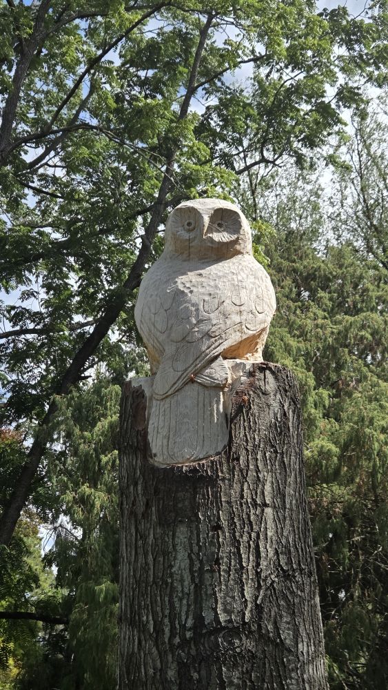 Owl carving in the Botanic&nbsp;Gardens