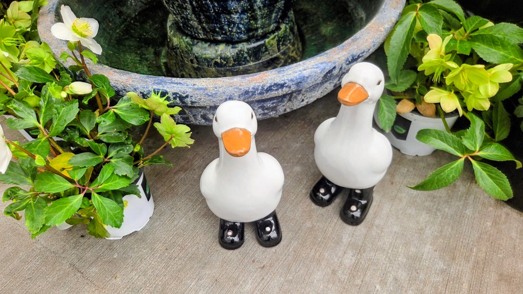 Duck sculptures at Mitre&nbsp;10